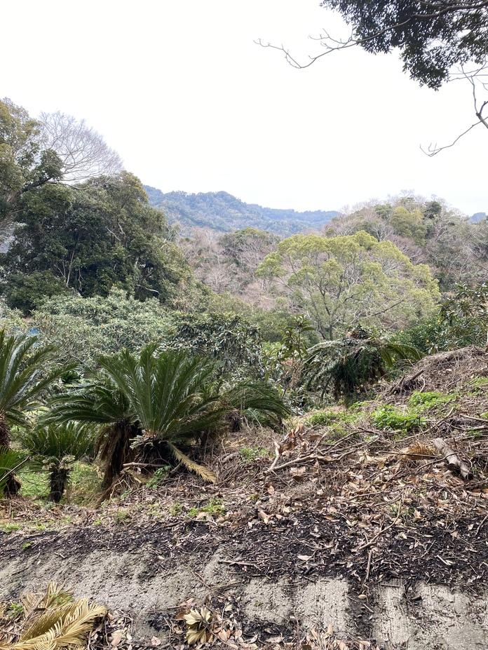 岡本城