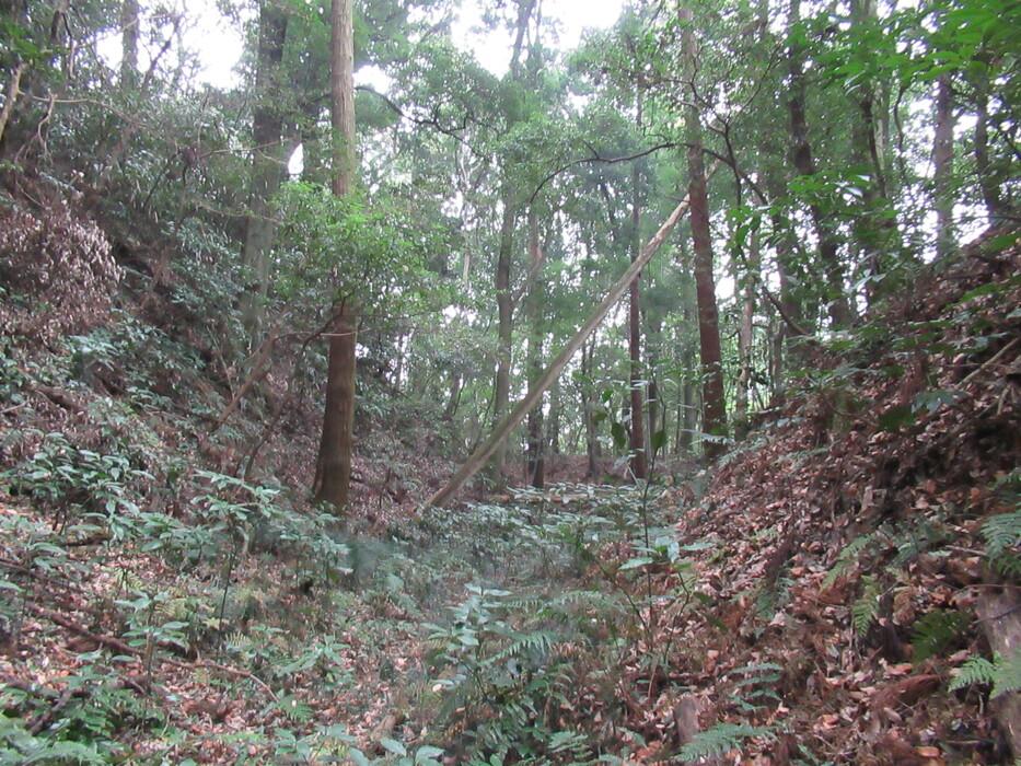 木原城