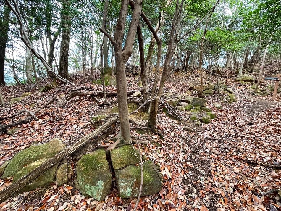 楯岩城