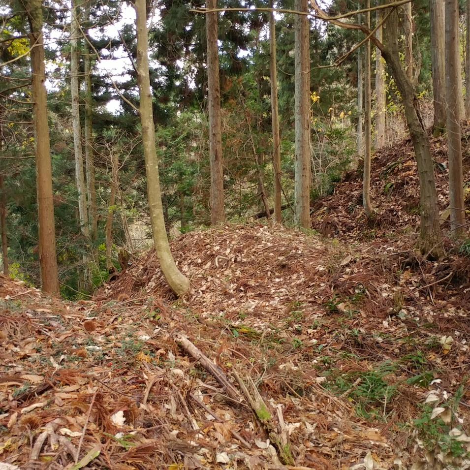 小山城