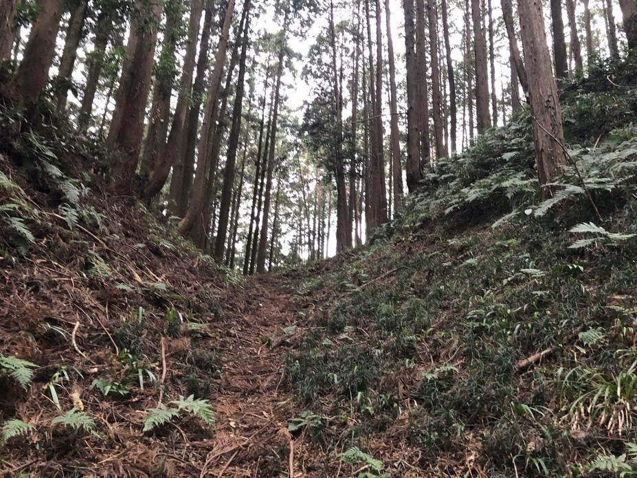 烏山城