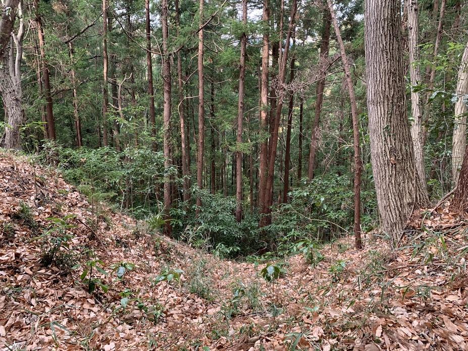 松井田城