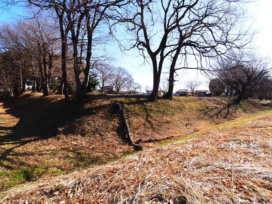 新田荘城館