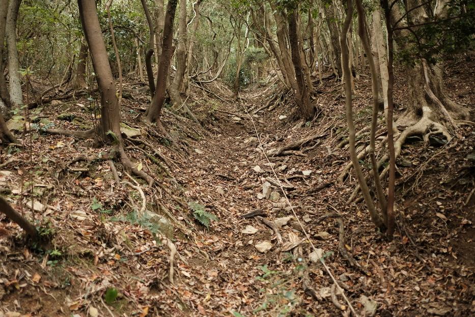 大野城