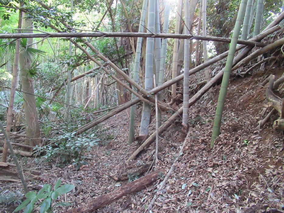前林城