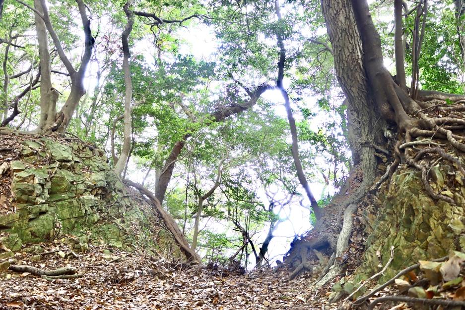 蔦ヶ嶽城