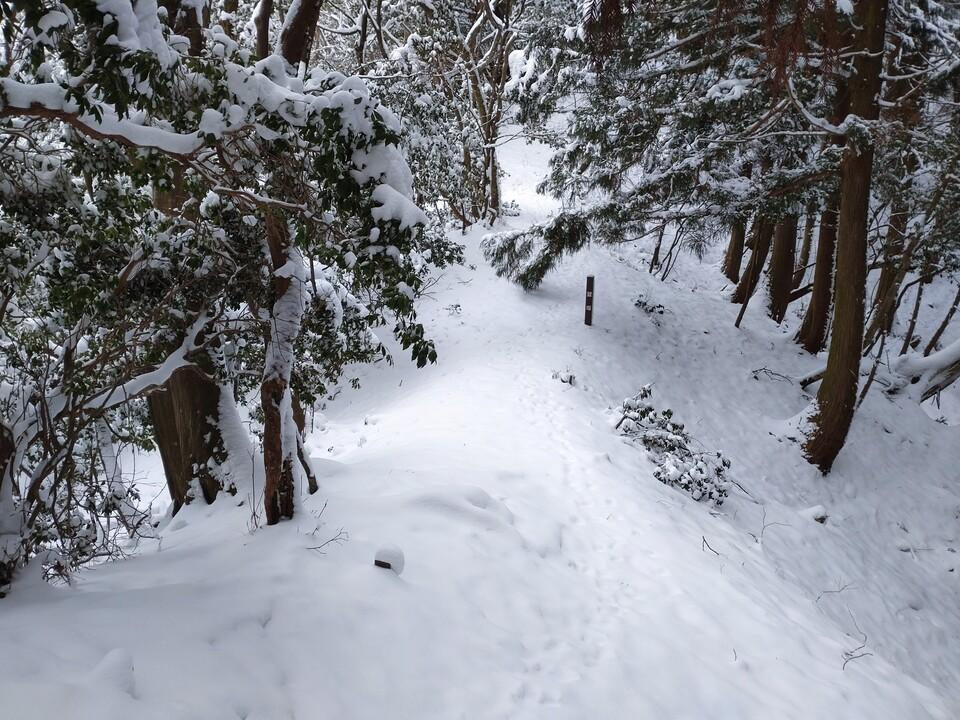 八講師城