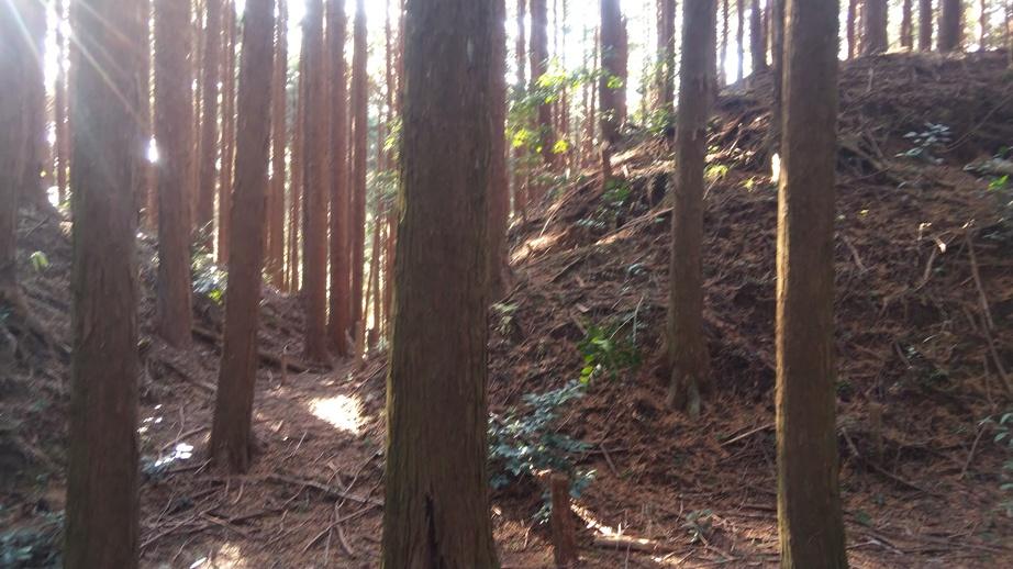 下山甲斐守城