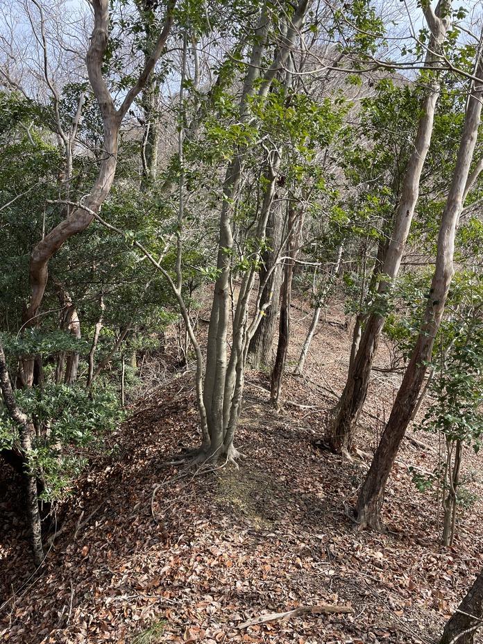 三蔵城