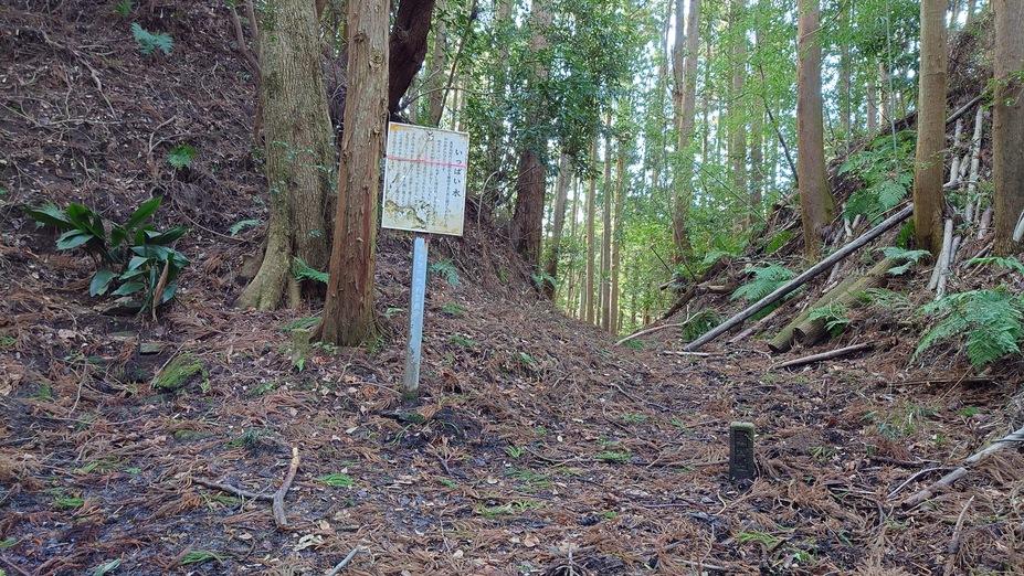 真里谷城