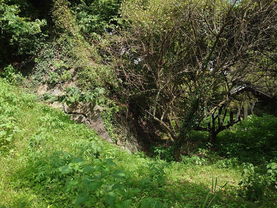 宇土城