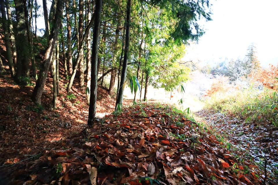 有漢常山城
