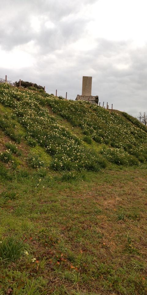 下関前田台場
