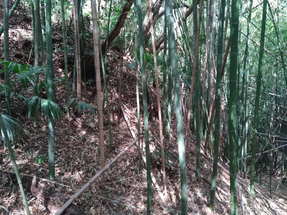 岡崎城