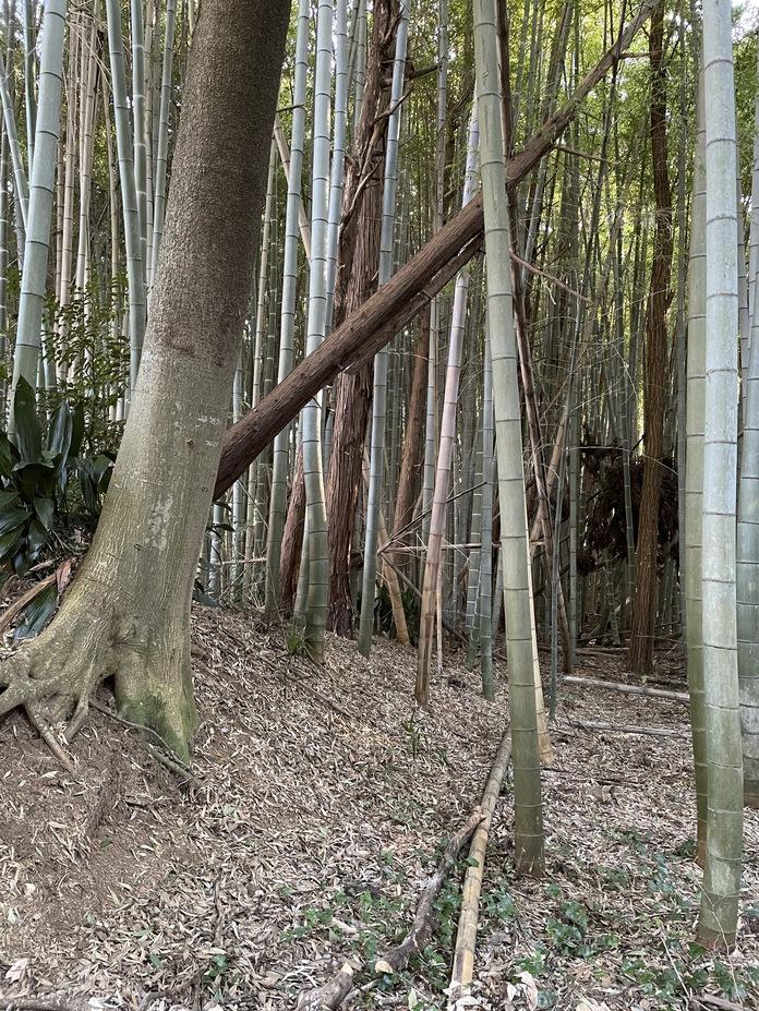 中峠城