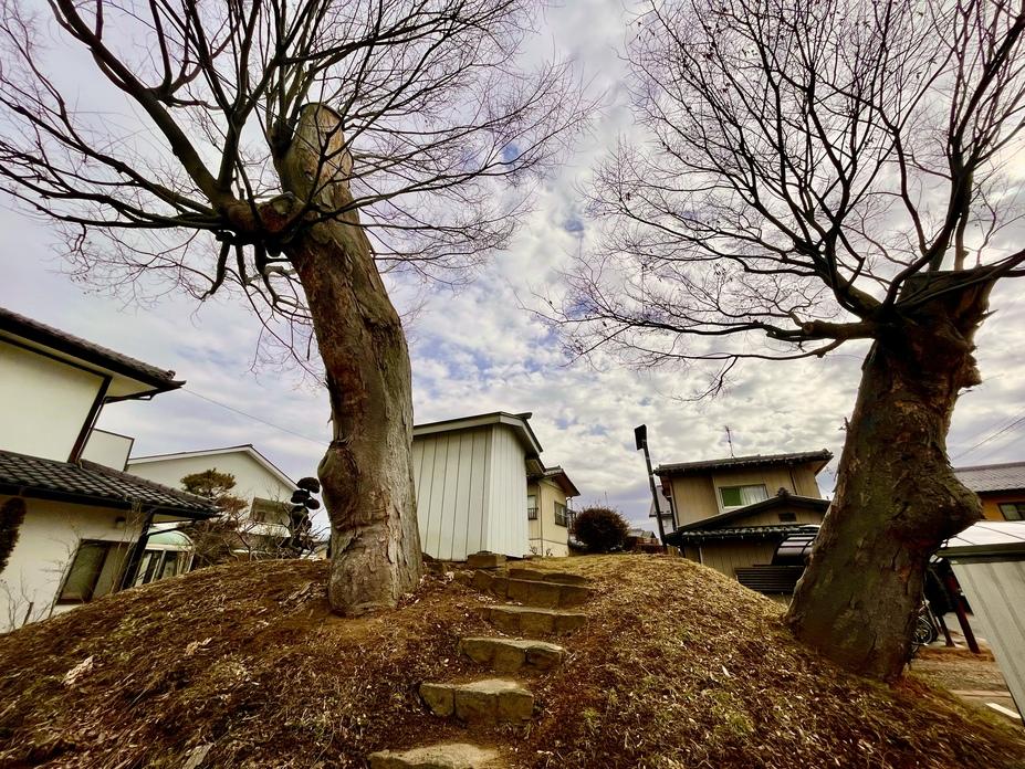 横田城