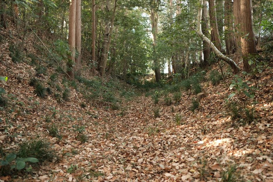 城山砦