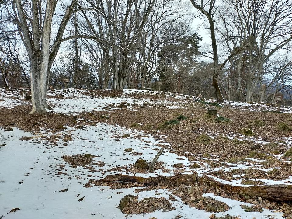 旭山城