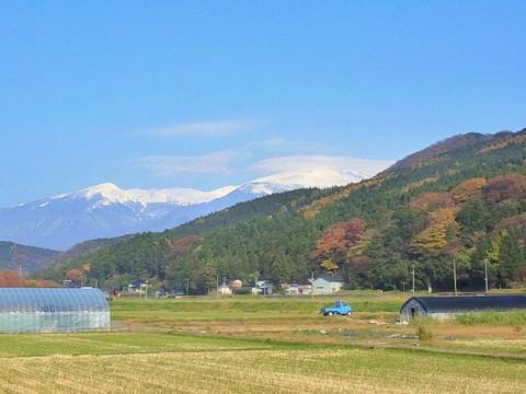 観音寺城