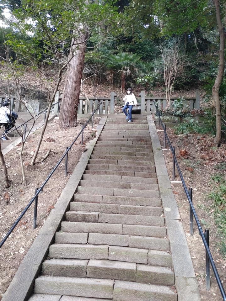 鎌倉城