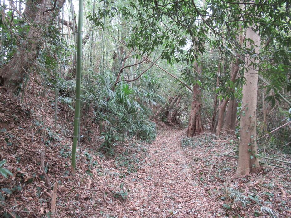 金堀城