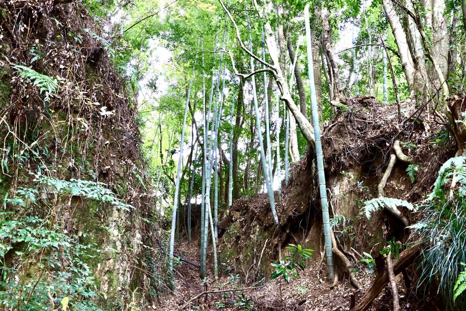 鶴が岡城