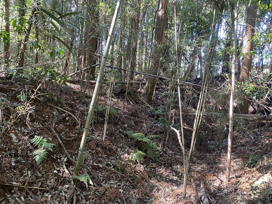 松虫城