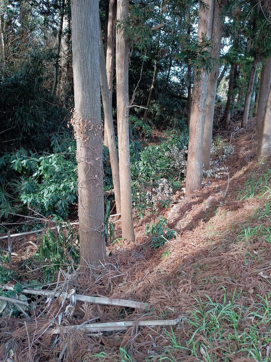 石岡城