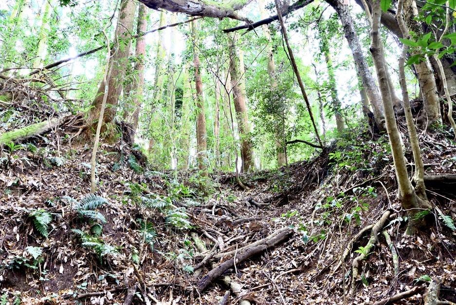 鶴が岡城