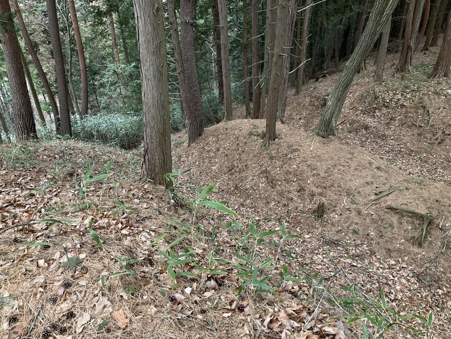 武居城
