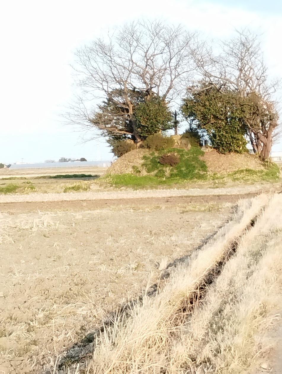 木造城