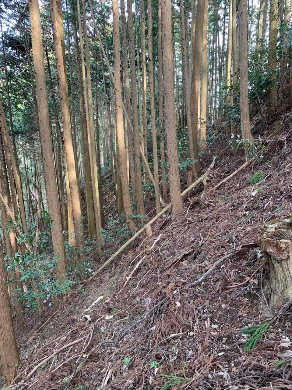 吉田郡山城