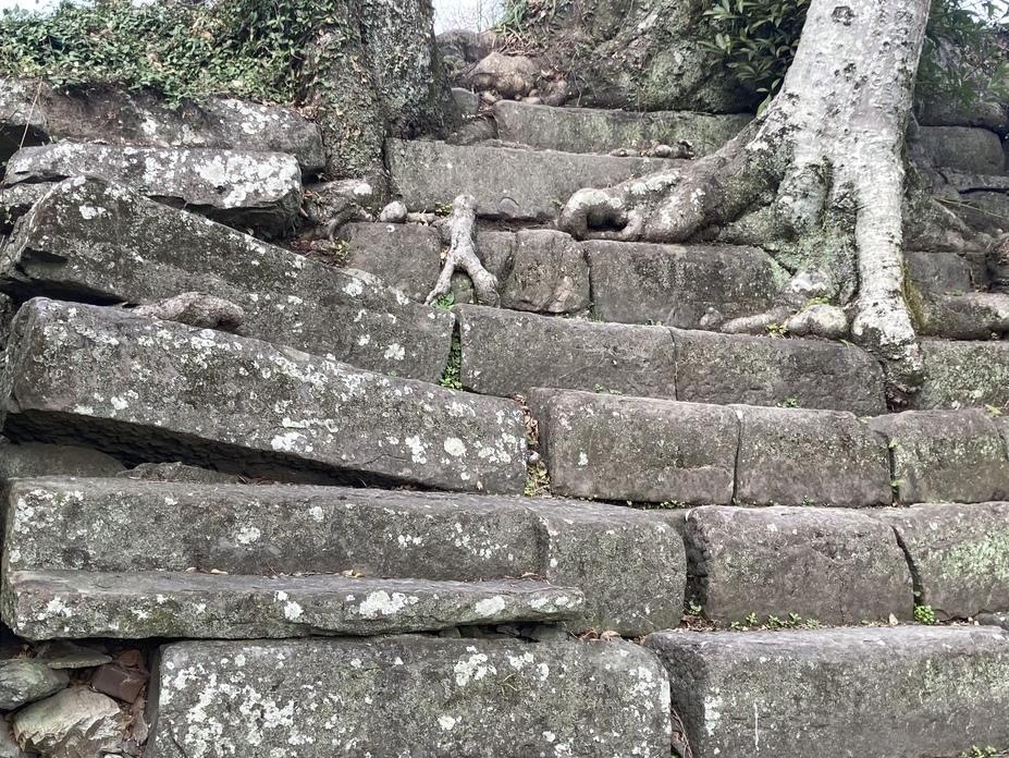 和歌山城