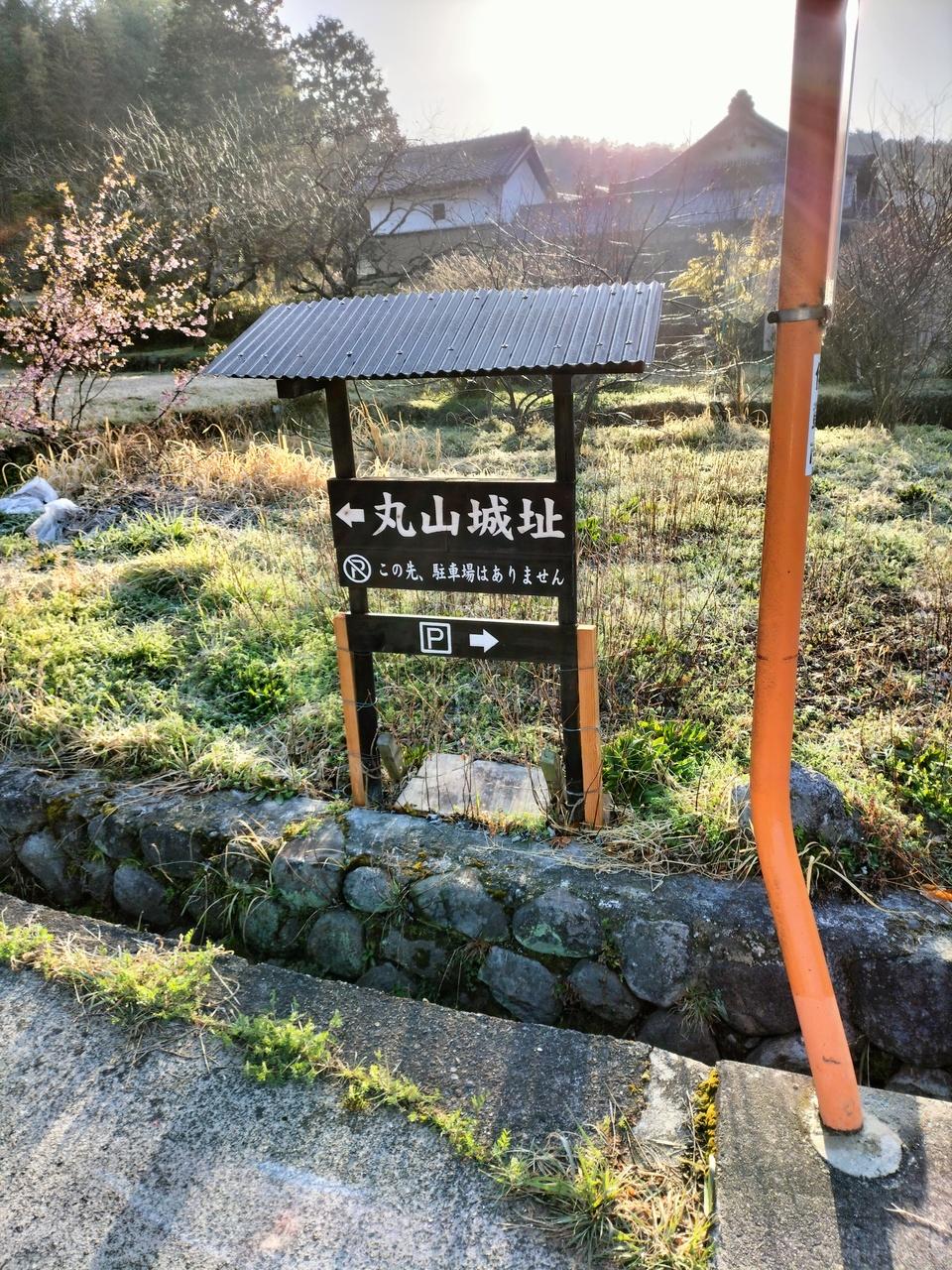 丸山城