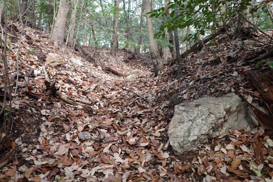 月ヶ谷城