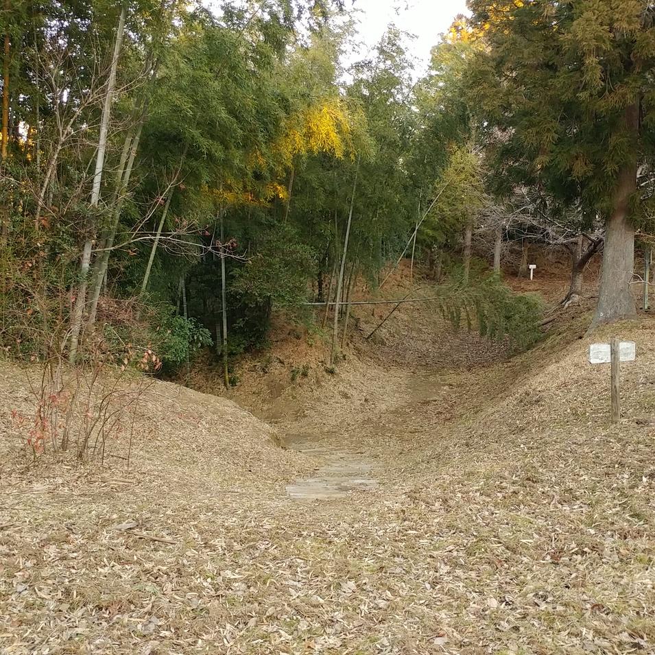真里谷城