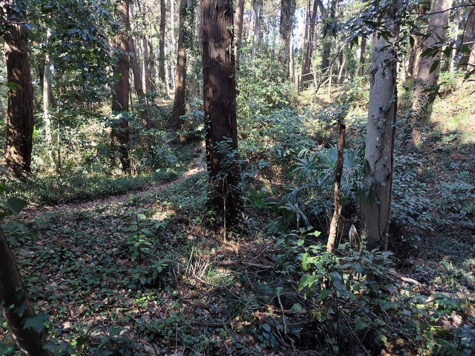 深見城