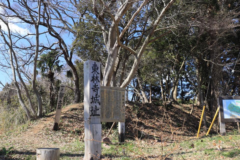 東林寺城