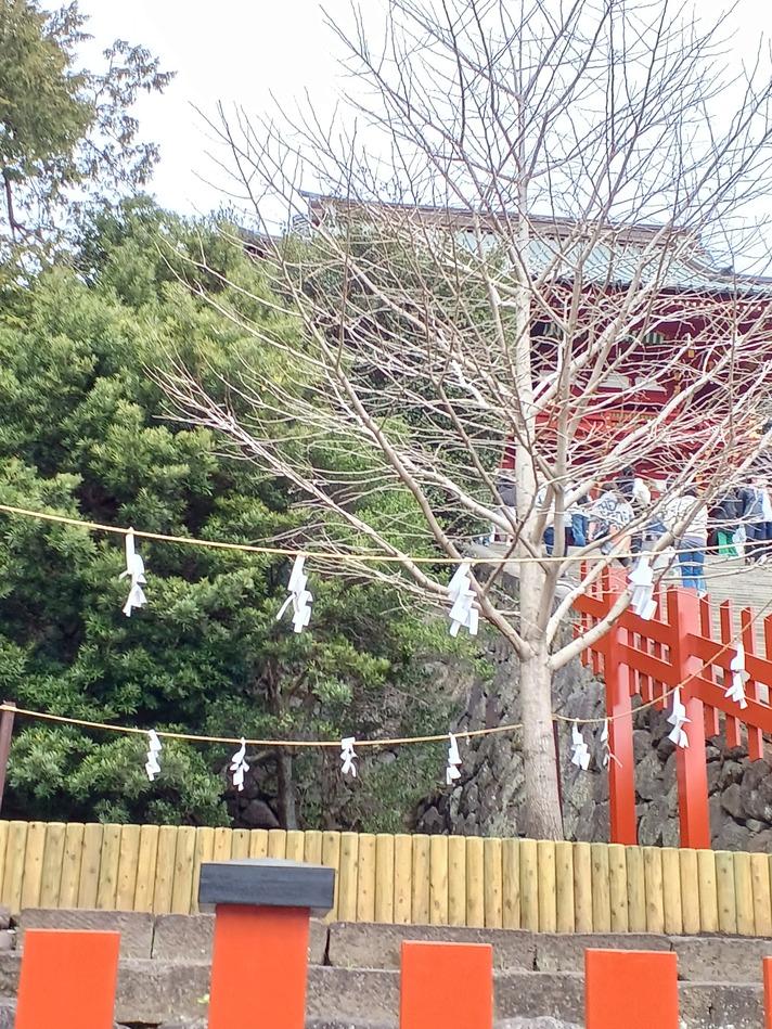 鎌倉城
