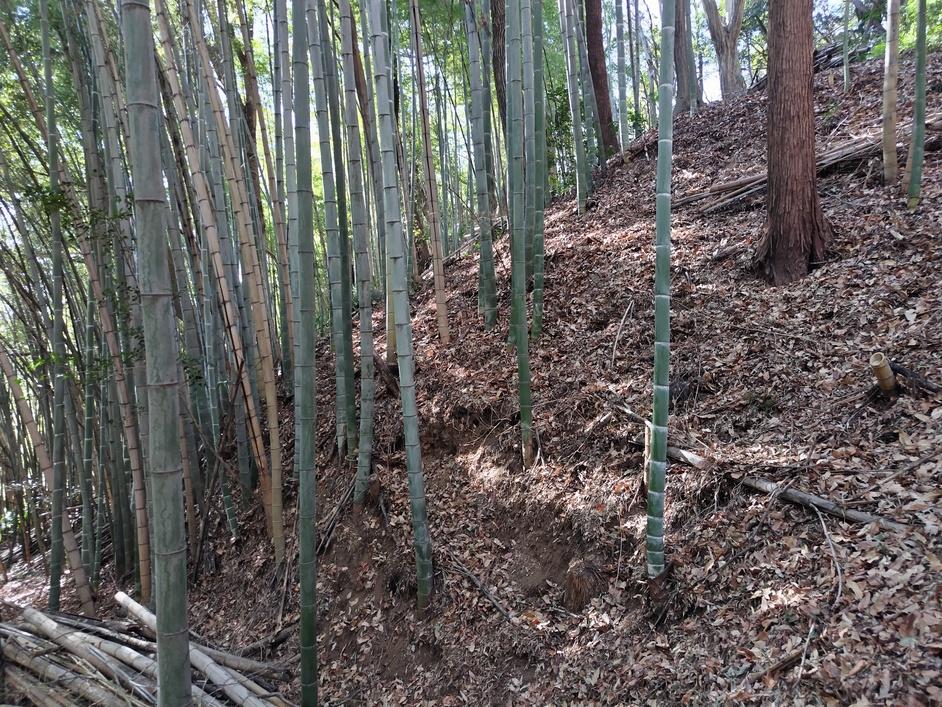 小沢城