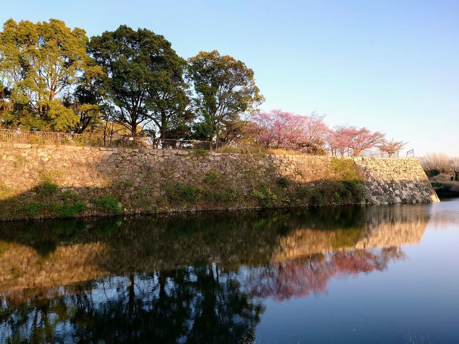 淀城
