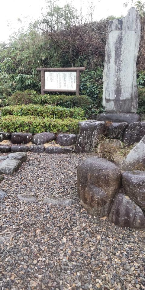 鯰江城