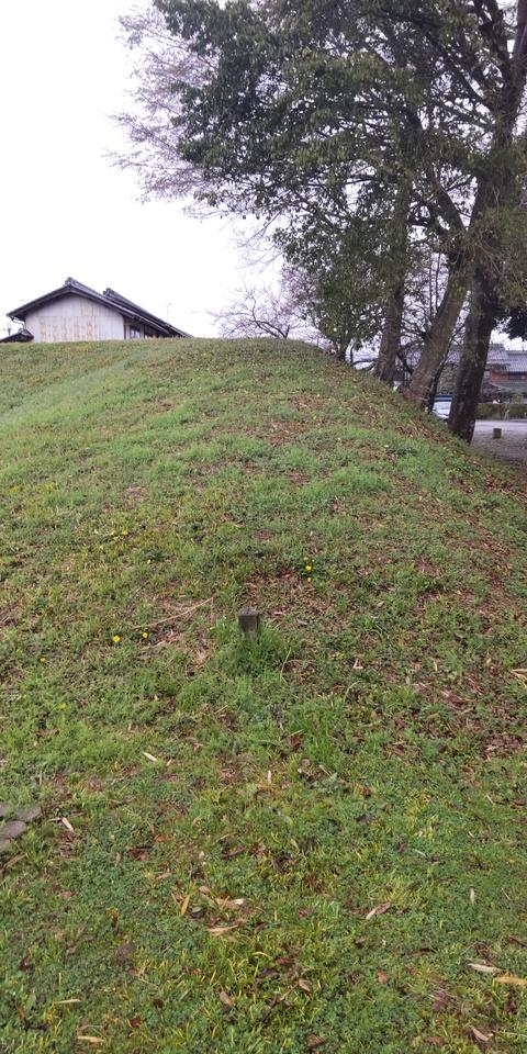 目加田城