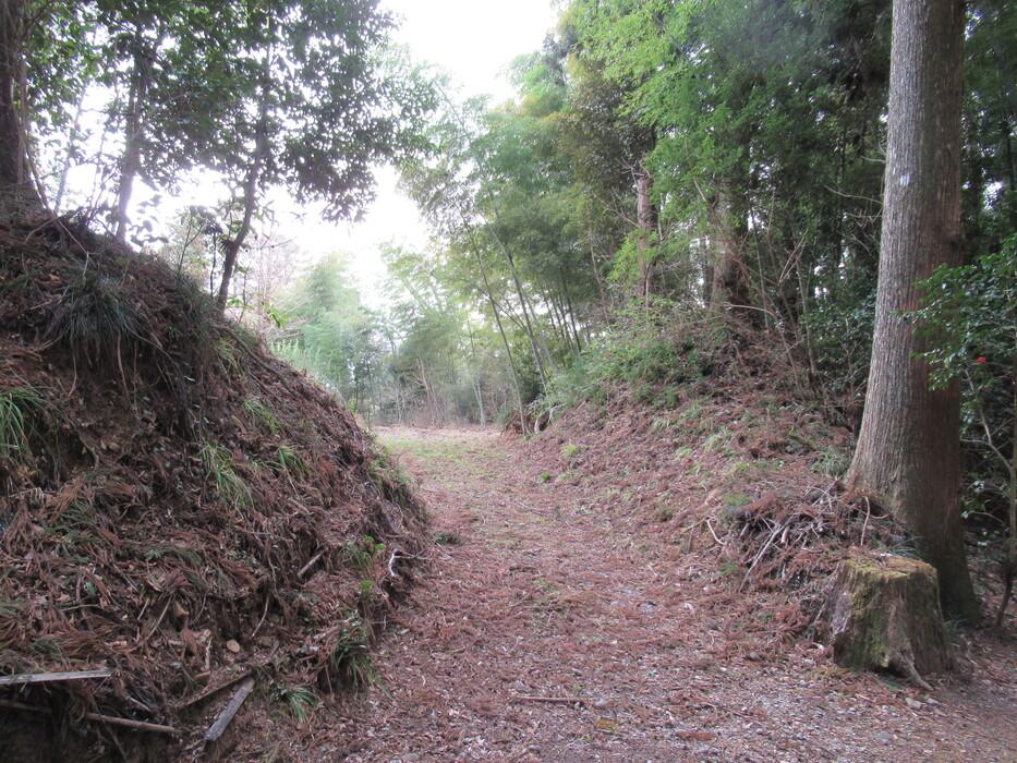 真木城
