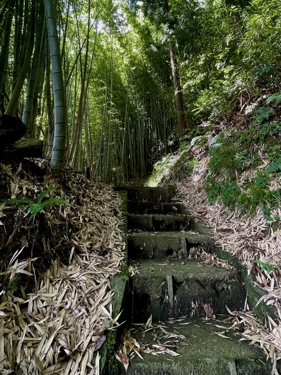 高玉城