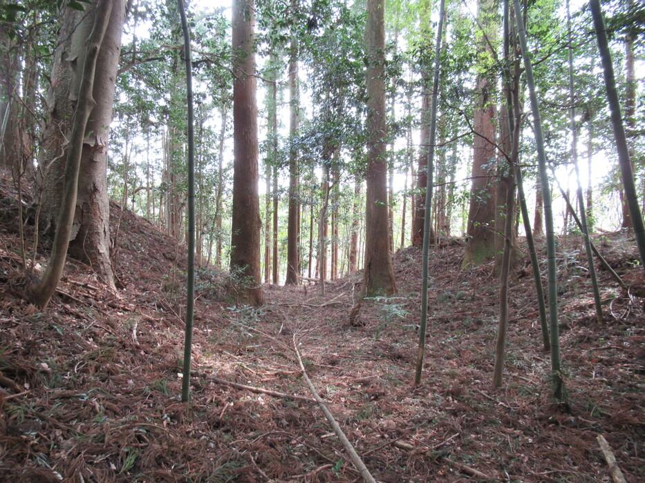 真木城