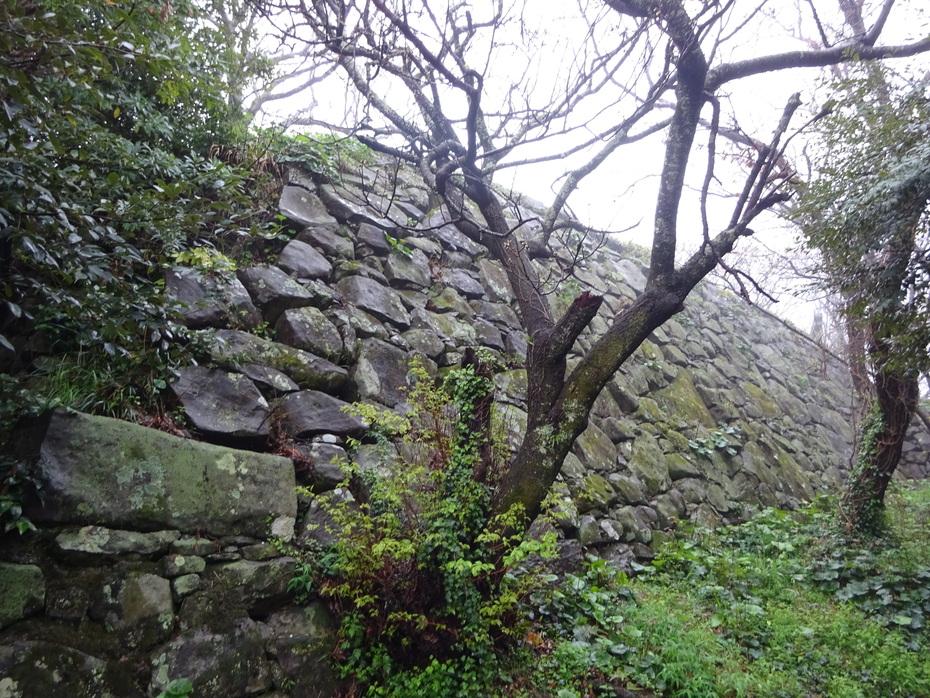 勝本城