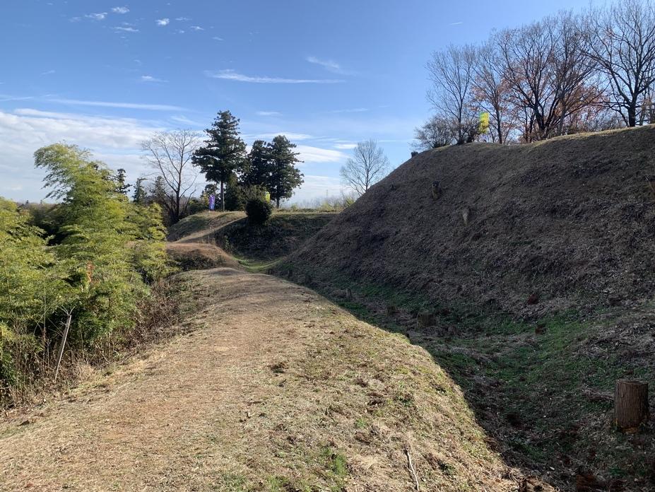 杉山城
