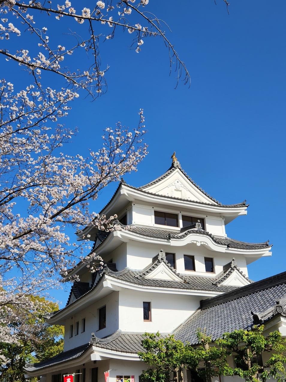 新居城