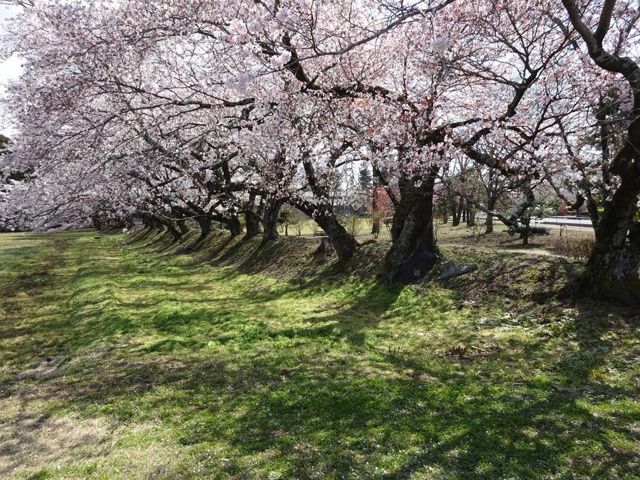 桜町陣屋